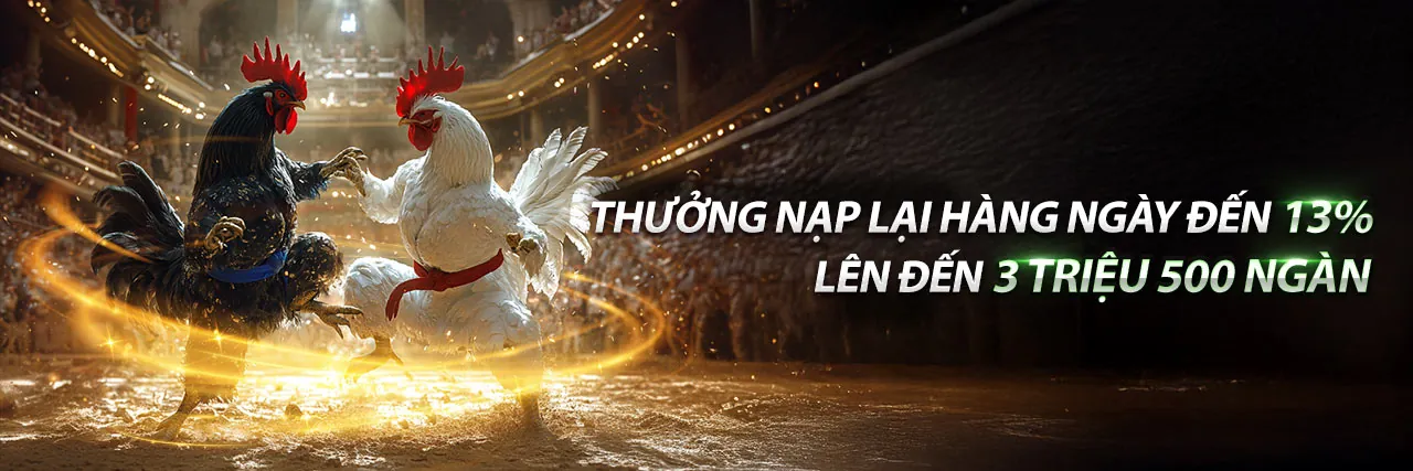 Sảnh Đá Gà Trực Tuyến BJ88 sôi động