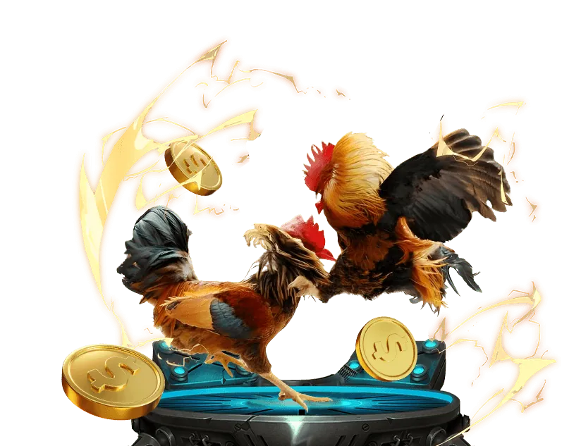 Hướng dẫn đá gà Thomo trực tiếp